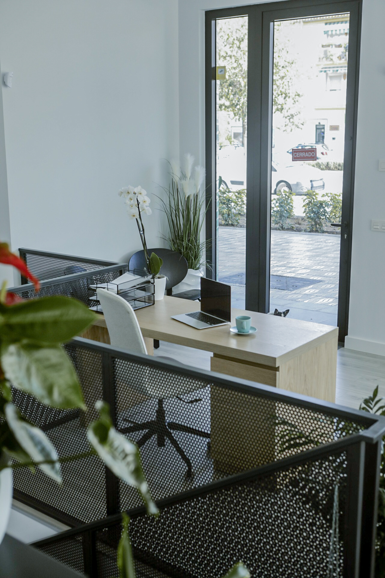 Oficina privada en Concept Coworking
